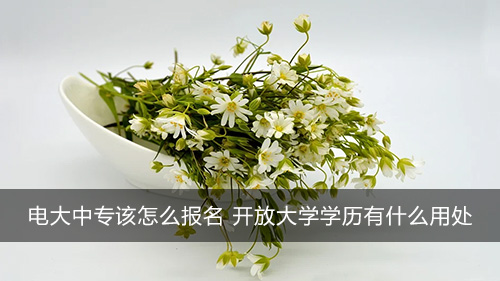 电大中专该怎么报名 开放大学学历有什么用处