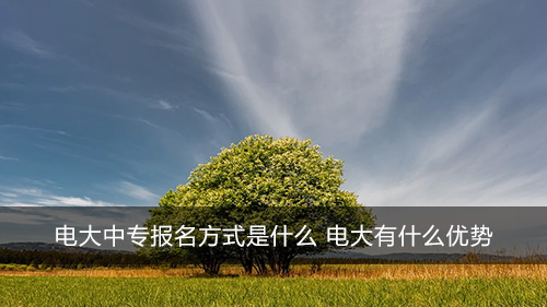 电大中专报名方式是什么 电大有什么优势