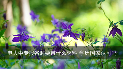 电大中专报名时要带什么材料 学历国家认可吗