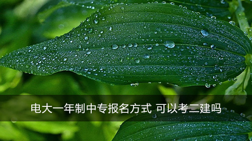 电大一年制中专报名方式 可以考二建吗