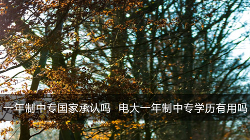 一年制中专国家承认吗 电大一年制中专学历有用吗