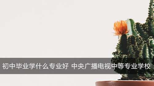 初中毕业学什么专业好 首选中央广播电视中等专业学校