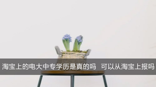 淘宝上的电大中专学历是真的吗 可以从淘宝上报吗
