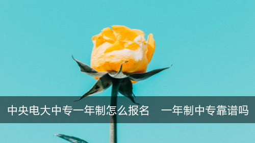中央电大中专一年制怎么报名 一年制中专靠谱吗