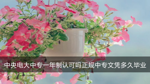 2020中央电大中专一年制认可吗 正规中专文凭最快多久毕业