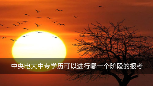中央电大中专学历可以进行哪一个阶段的报考