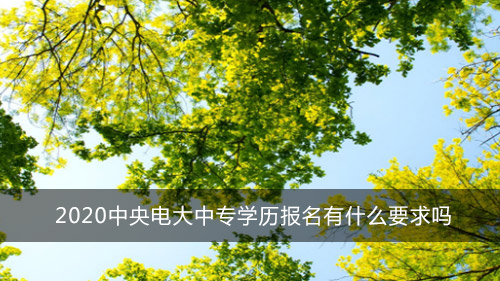 2020中央电大中专学历报名有什么要求吗