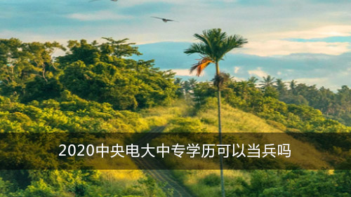 2020中央电大中专学历可以当兵吗