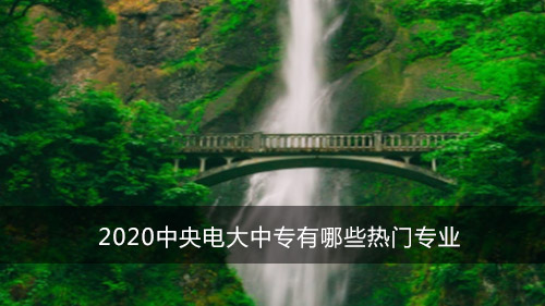 2020中央电大中专有哪些热门专业