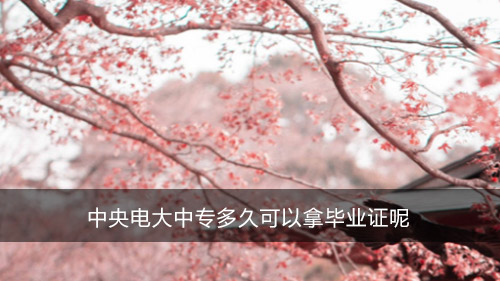中央电大中专多久可以拿毕业证呢