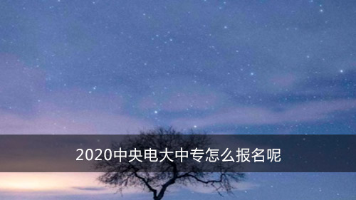 2020中央电大中专怎么报名呢