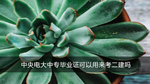 中央电大中专毕业证可以用来考二建吗