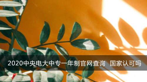 2020中央电大中专一年制官网查询 国家认可吗