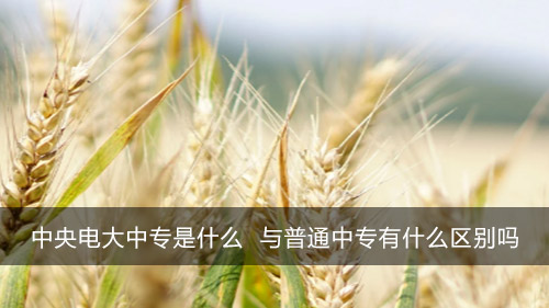中央电大中专是什么 与普通中专有什么区别吗