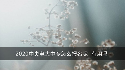 2020中央电大中专怎么报名呢 有用吗