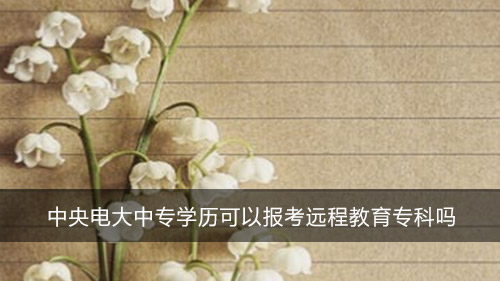 中央电大中专学历可以报考远程教育专科吗