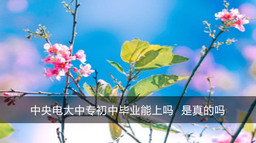 中央电大中专初中毕业能上吗 是真的吗