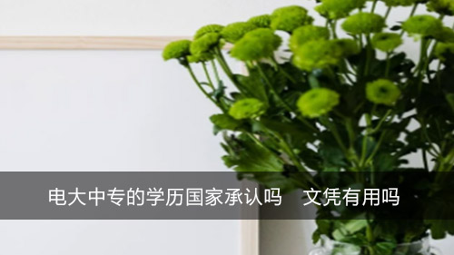 电大中专的学历国家承认吗 文凭有用吗