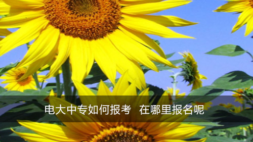 电大中专如何报考 在哪里报名呢