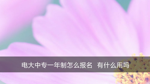 电大中专一年制怎么报名 有什么用吗