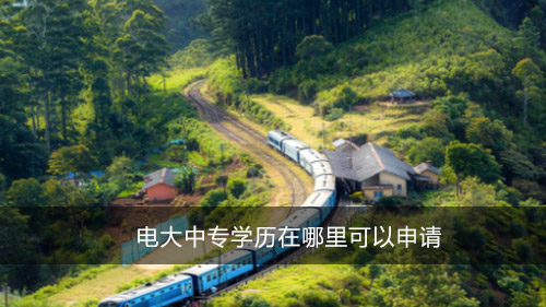 电大中专学历在哪里可以申请