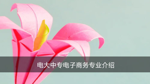 电大中专电子商务专业介绍