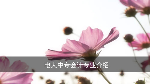 电大中专会计专业介绍