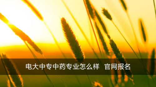 电大中专中药专业怎么样 官网报名