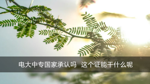 电大中专国家承认吗 这个证能干什么呢