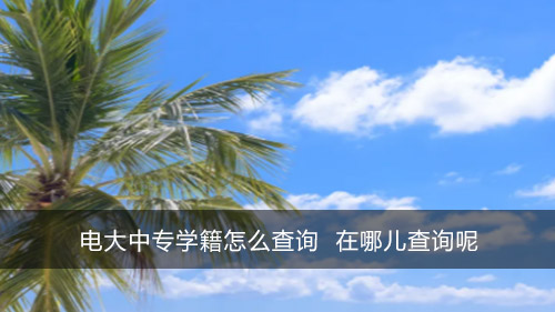 电大中专学籍怎么查询 在哪儿查询呢