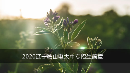 2020辽宁鞍山电大中专招生简章