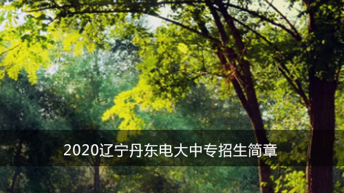 2020辽宁丹东电大中专招生简章