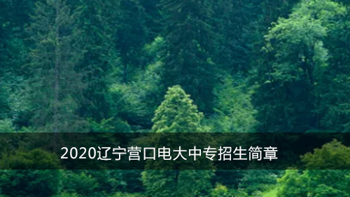 2020辽宁营口电大中专招生简章