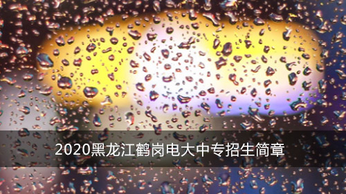 2020黑龙江鹤岗电大中专招生简章