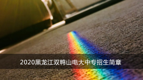 2020黑龙江双鸭山电大中专招生简章