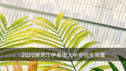 2020黑龙江伊春电大中专招生简章