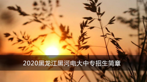 2020黑龙江黑河电大中专招生简章
