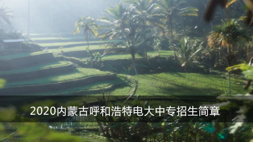 2020内蒙古呼和浩特电大中专招生简章