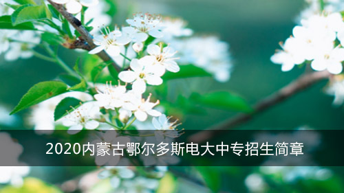 2020内蒙古鄂尔多斯电大中专招生简章