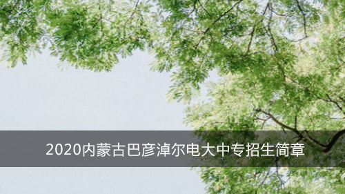 2020内蒙古巴彦淖尔电大中专招生简章