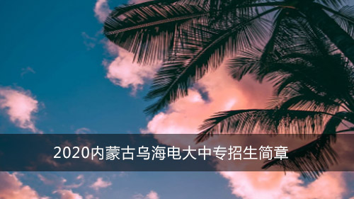 2020内蒙古乌海电大中专招生简章