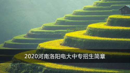 2020河南洛阳电大中专招生简章