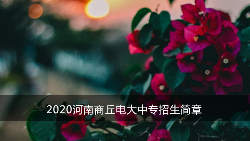 2020河南商丘电大中专招生简章