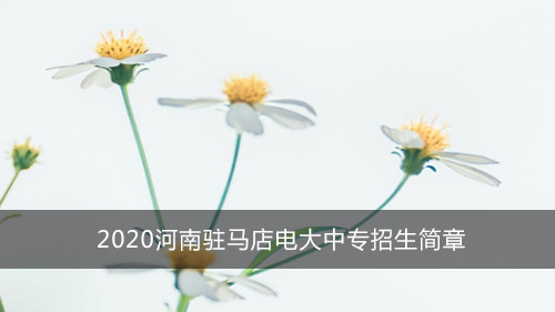 2020河南驻马店电大中专招生简章