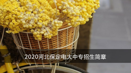 2020河北保定电大中专招生简章