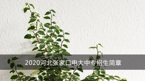 2020河北张家口电大中专招生简章