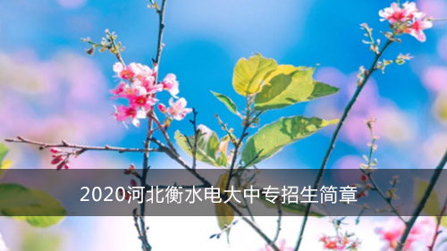 2020河北衡水电大中专招生简章