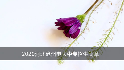 2020河北沧州电大中专招生简章