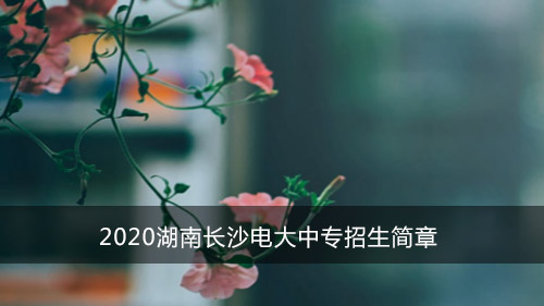 2020湖南长沙电大中专招生简章