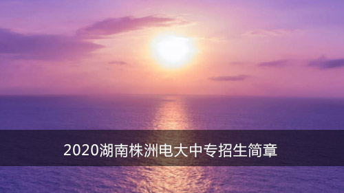 2020湖南株洲电大中专招生简章